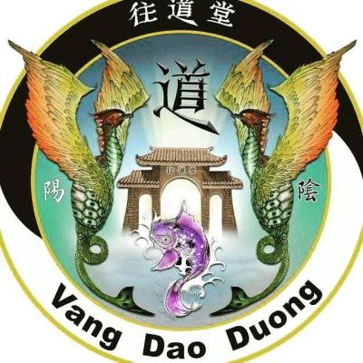 A.S.D. VANG DAO DUONG